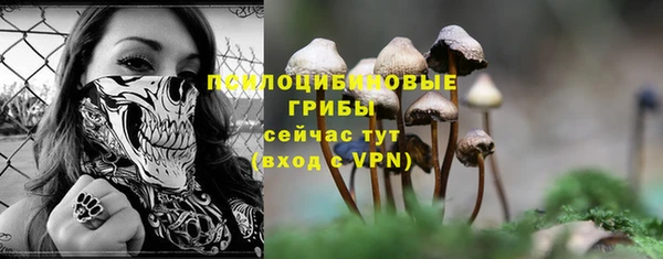 ГАЛЛЮЦИНОГЕННЫЕ ГРИБЫ Алексеевка