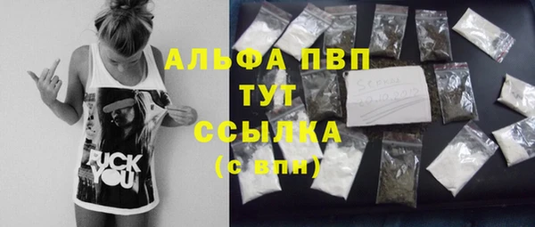 СК Аркадак