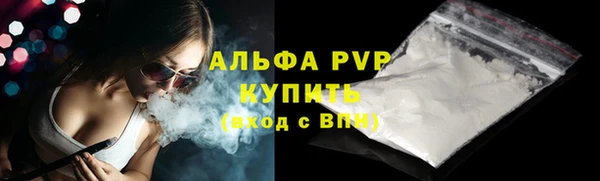 гашик Арсеньев