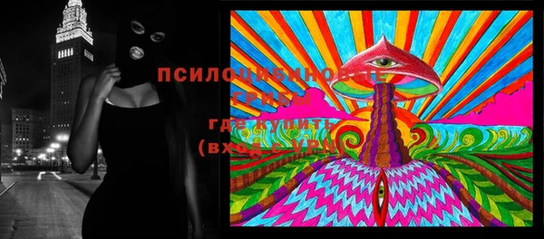 ГАЛЛЮЦИНОГЕННЫЕ ГРИБЫ Алексеевка
