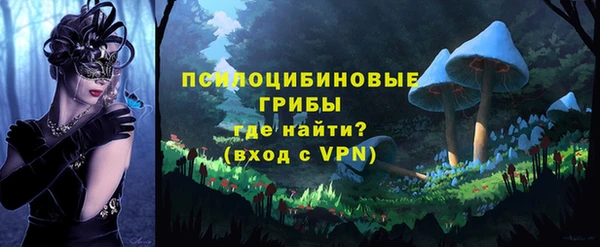 apvp Армянск