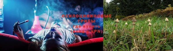 apvp Армянск