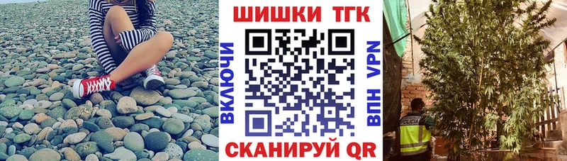 МАРИХУАНА план  где можно купить   Луза 